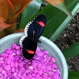 Meet your Posher, Lori